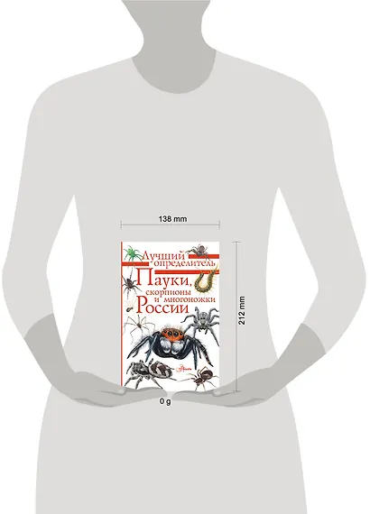 Пауки, скорпионы и многоножки России - фото 4