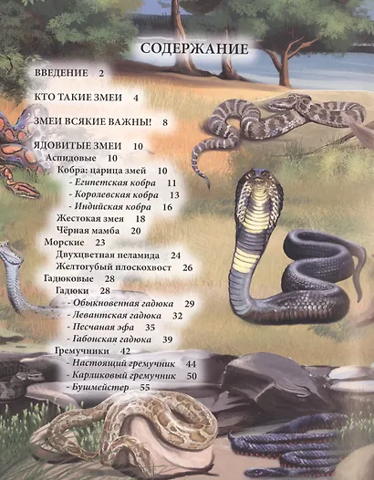 ЭНЦИКЛОПЕДИЯ. ХОЧУ ЗНАТЬ. ЗМЕИ - фото 2