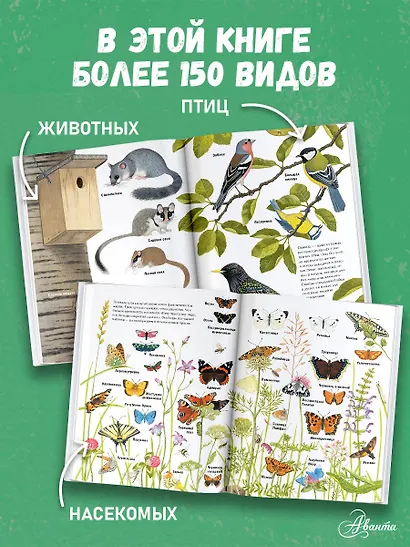 Животные рядом с нами - фото 4