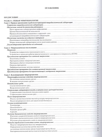 Руководство по микробиологии и иммунологии - фото 2