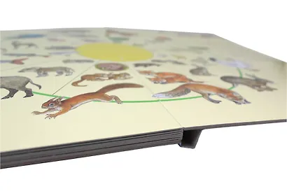 Виммельбух. Животные и их детеныши (ил. К. Хенкель) - фото 7