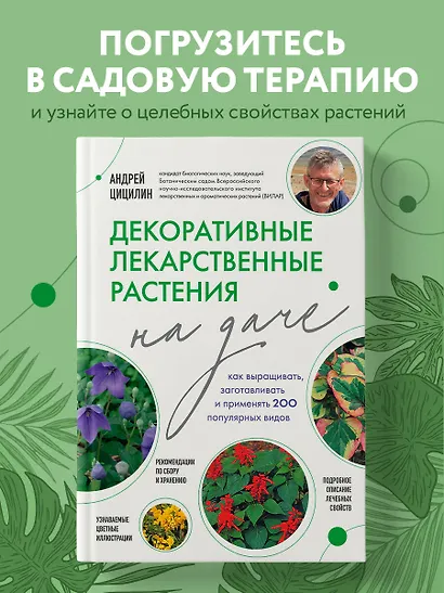 Декоративные лекарственные растения на даче. Как выращивать, заготавливать и применять 200 популярных видов - фото 4