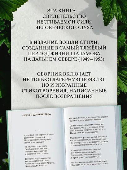 «Хочу я света и покоя...» - фото 5