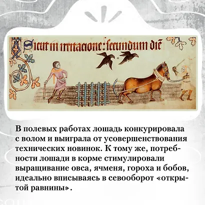 Жизнь в средневековой деревне - фото 5