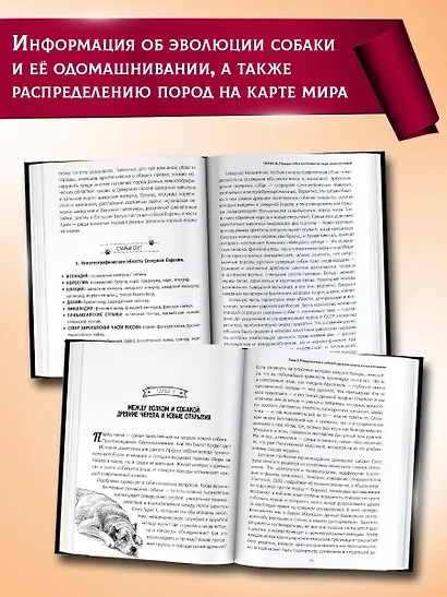Породы собак Энциклопедия (первая обложка с борзой) - фото 6