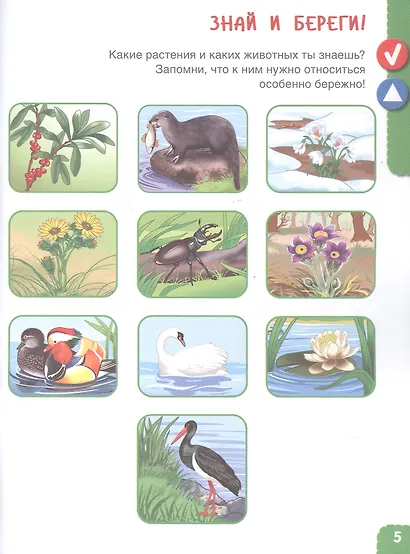 Удивительное рядом. Ребенок и окружающий мир. Альбом наблюдений. 5-6 лет - фото 3