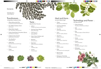 Remarkable plants - фото 2
