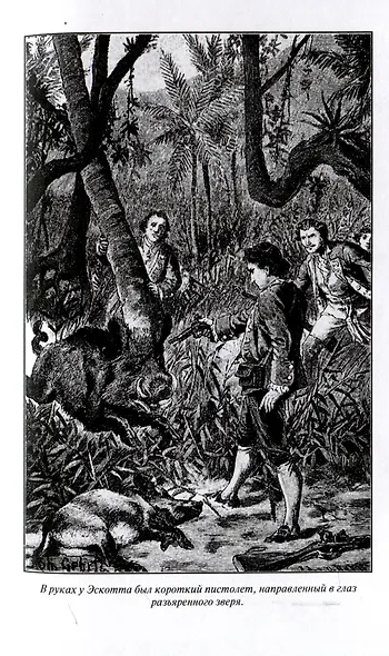 Из Англии в Австралию Том 1 - фото 3