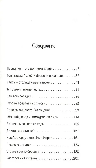 Голландия и голландцы. О чем молчат путеводители - фото 2