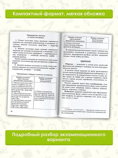 ОГЭ. Русский язык. Комплексная подготовка к основному государственному экзамену: теория и практика - фото 5