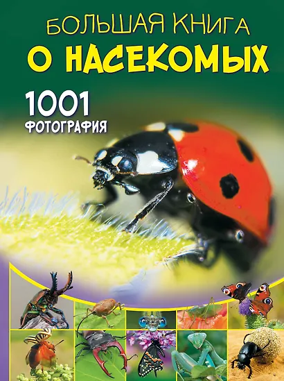 Большая книга о насекомых. 1001 фотография - фото 1