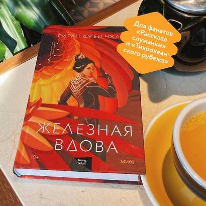 Железная вдова - фото 4