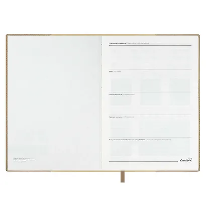 Ежедневник недат. А5+ 160л "Фланстер" бежевый, мягк.переплёт, иск.кожа, ляссе, подар.карт.коробка с ПВХ-крышкой - фото 15