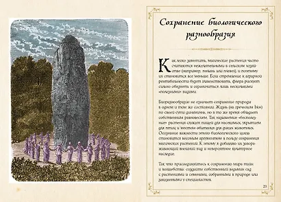 Маленький гримуар ведьмы. Зелья и волшебные травы - фото 12