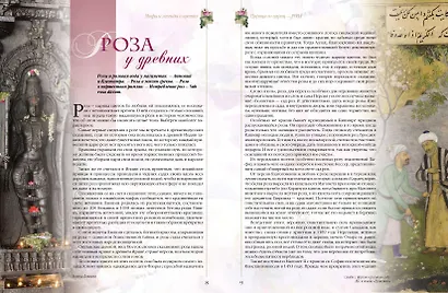 Мифы и легенды о цветах - фото 4