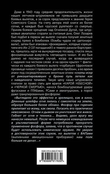 Летающий танк. 100 боевых вылетов на Ил-2 - фото 2