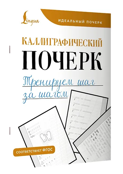 Каллиграфический почерк. Тренируем шаг за шагом - фото 3