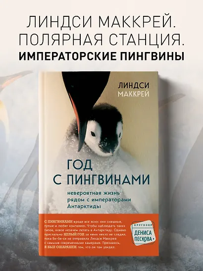 Год с пингвинами. Невероятная жизнь рядом с императорами Антарктиды - фото 4