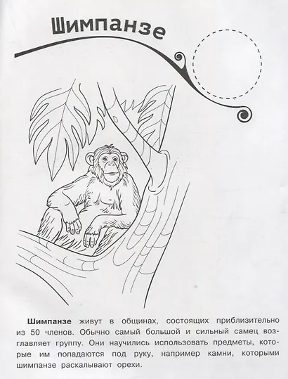 Животные Африки. Раскраска + большие наклейки внутри - фото 3