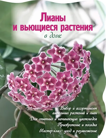 Лианы и вьющиеся растения в вашем доме. - фото 1