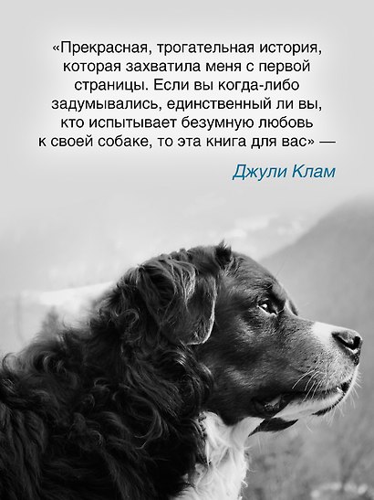 Его запах после дождя - фото 7