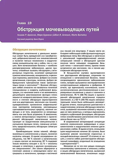 Скорая хирургическая помощь мелким домашним животным - фото 15