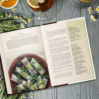 Дикие травы: как найти целебные продукты и создать собственные натуральные лекарства - фото 12