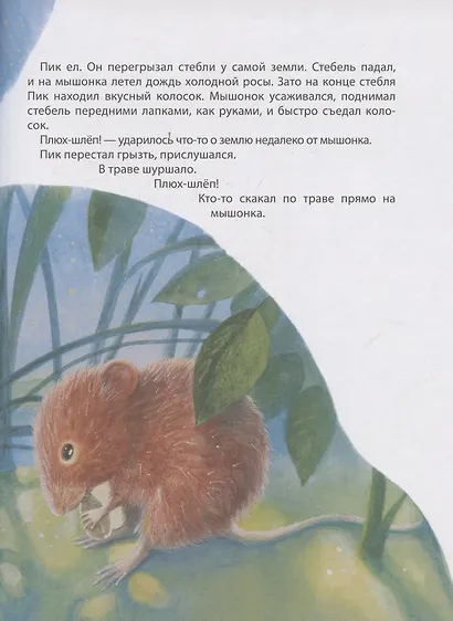 Лесные истории. Сказки о животных - фото 5