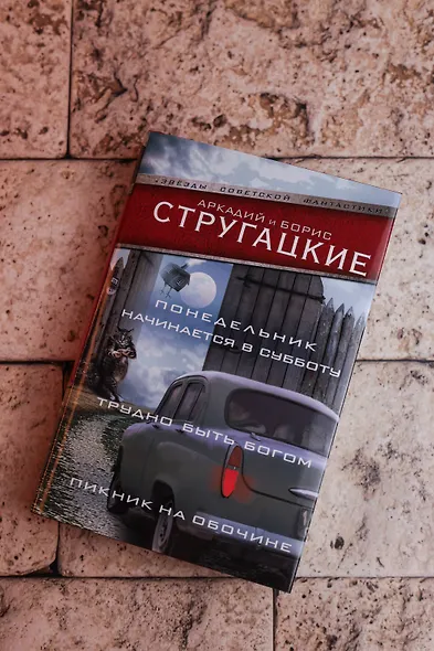 Понедельник начинается в субботу. Трудно быть богом. Пикник на обочин - фото 6