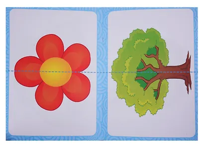 Развивающие книги для детей. Полный годовой курс (комплект из 7 книг) - фото 4