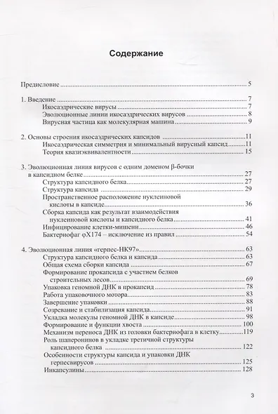 Структура икосаэдрических вирусов - фото 2