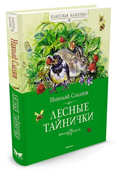 Лесные тайнички - фото 2