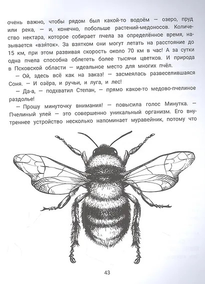 Степа, Соня и насекомые: логопедическая энциклопедия - фото 3