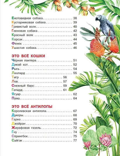 Удивительные звери - фото 5