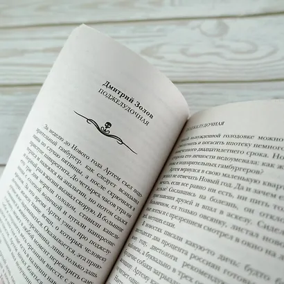 Самая страшная книга. Черный Новый год - фото 7