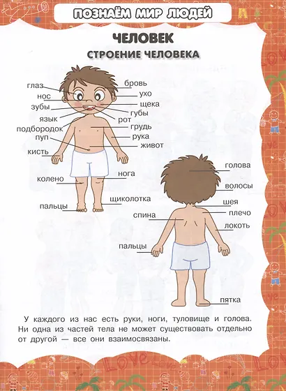 Человек - фото 2