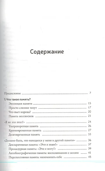 Как запомнить всё! Секреты чемпиона мира по мнемотехнике - фото 3