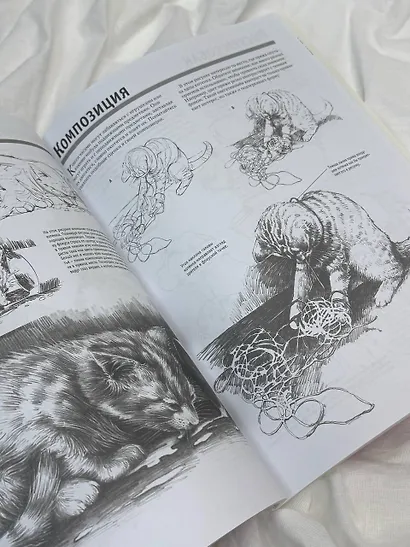 Полный курс рисования - фото 8