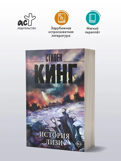 История Лизи - фото 3