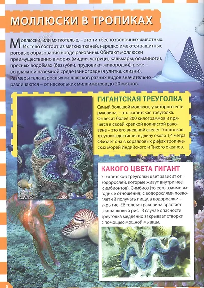 Морские обитатели - фото 3