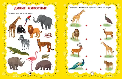 Познаем мир - фото 6