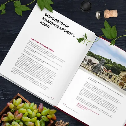 Вино России. История, география, выбор - фото 12