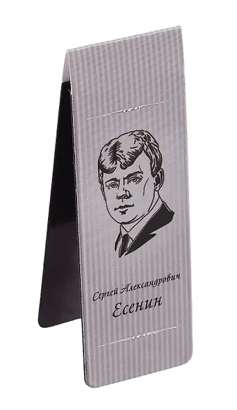 Набор чехол для карточек и магнитные закладки «Писатели. Серебряная коллекция» - фото 7