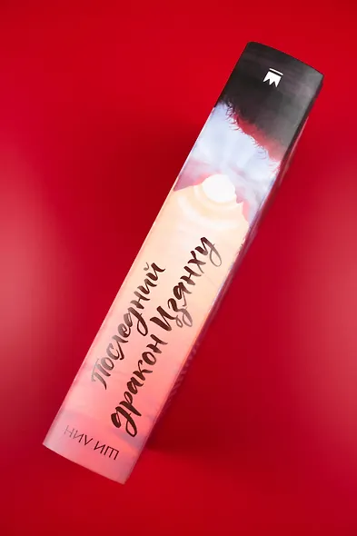 Последний дракон Цзянху - фото 7