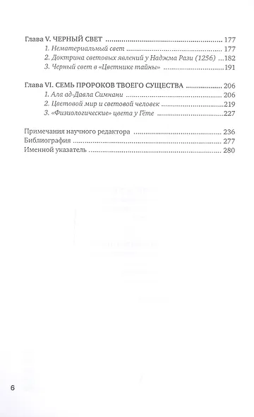 Световой человек в иранском суфизме - фото 3