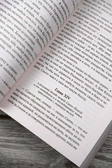 Дон Кихот - фото 8