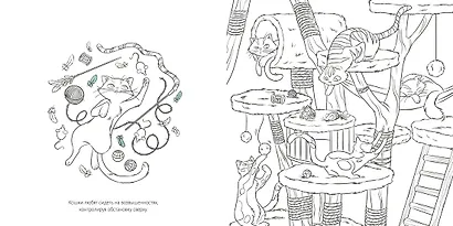 Кошки - фото 7