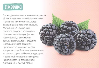 Обучающая книга «Полезные ягоды» - фото 2