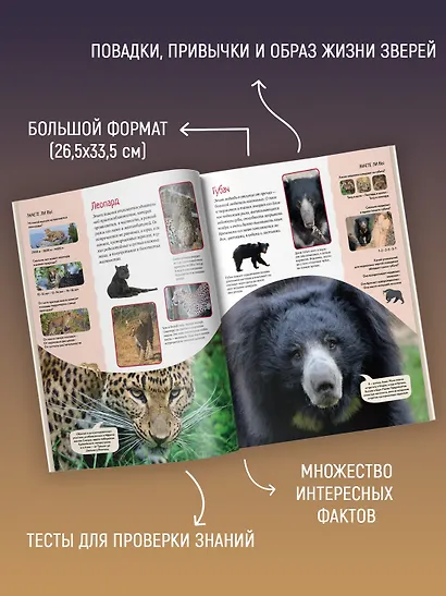 Яркий мир животных - фото 5