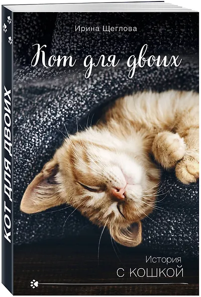 Кот для двоих - фото 3